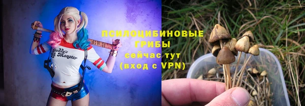 не бодяженный Арсеньев