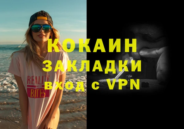 шишки Гусев