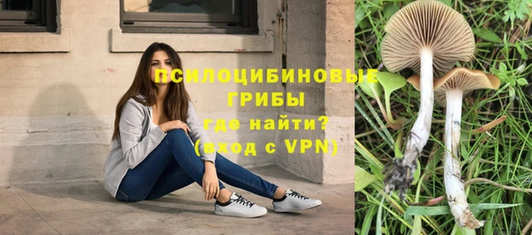 не бодяженный Арсеньев
