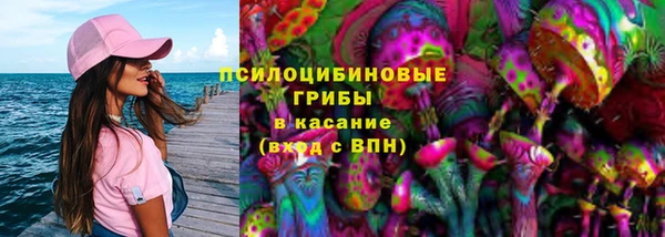 прущая мука Аркадак